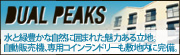 デュアルピークス