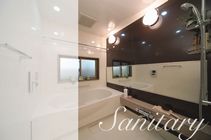 sani-ttl-1.jpg
