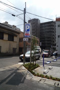 090831nanohana-P.jpg