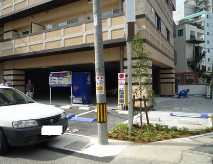 090831nanohana-P2.jpg