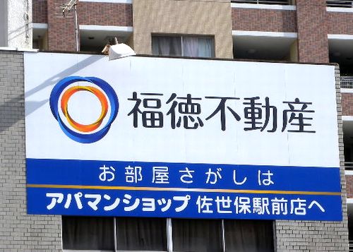 sasebokanban110112-2.jpg