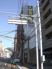 19mika081114genba1.JPG
