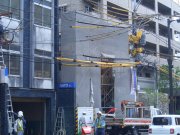 19mikagenba080925-2.JPG