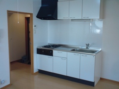 �c�^�C�v�T�O�T��