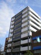 WillDogenba20080130-1.JPG