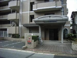 amekusugaikan2.jpg