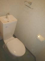 �����ި��Ĳ�
