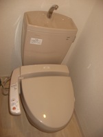 toraianf2-WC.jpg